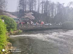 -苏堤停车场