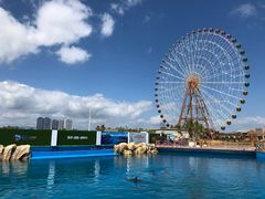 -三亚海昌梦幻海洋不夜城