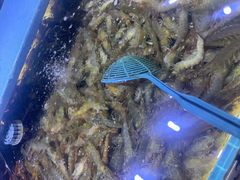 -聚盛源蒸汽海鲜火锅烤肉自助(巨川金海岸购物广场店)