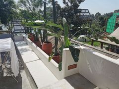 -悦哉·派对·草坪婚礼·围炉煮茶(三圣乡店)