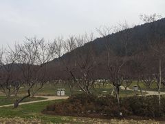 -云龙山