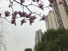 -苏州河梦清园环保主题公园