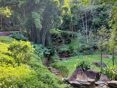 -火炉山森林公园