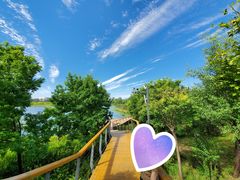 -东郊湿地公园