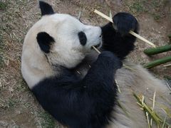 -青藏高原野生动物园
