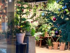 -自由生长植物工作室(深港花卉中心店)