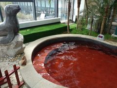-太白山御龙湾温泉