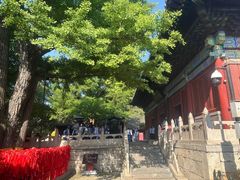 -红螺寺