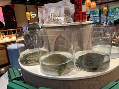 -魏铭鱼头捞饭(晋阳路店)