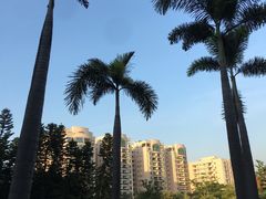 -厦门悦华酒店