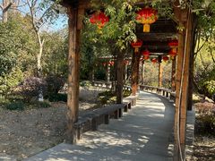 -水绘园