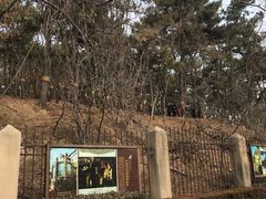 -青岛德国总督楼旧址博物馆