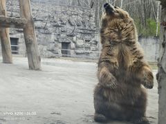 -哈尔滨北方森林动物园