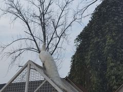 -J Create城市露营咖啡·简餐·宠物(上海动物园店)