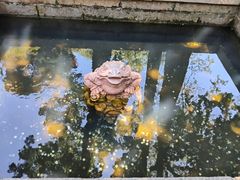 -青岛崂山太清宫