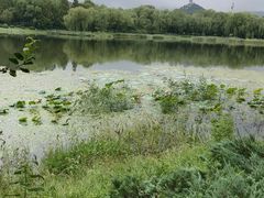 -北坞公园