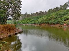 -大屏嶂森林公园