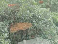 -箸福·夜上海(月牙湖公园店)