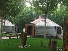 -九十九顶毡房(阜石路店)