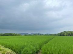 -良渚古城遗址公园