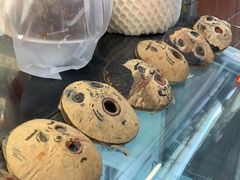 -椰爺爺·椰子冻砵仔糕