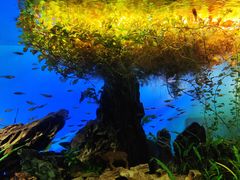 -太平洋海底世界