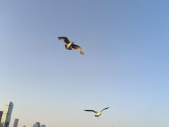 -星海广场