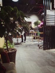 -MOVAN  HAIR莫凡匠人发型屋