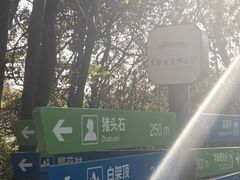 -火炉山森林公园