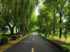 -三山岛