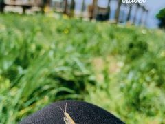 -白草畔自然风景区