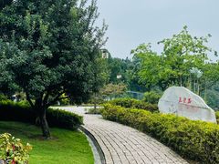 -铁山坪森林公园