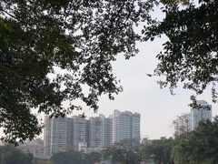 -荔湾湖公园