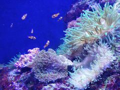 -成都浩海立方海洋公园