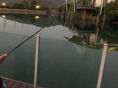 -帐篷客·溪龙茶谷度假酒店