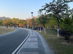 -东莞植物园