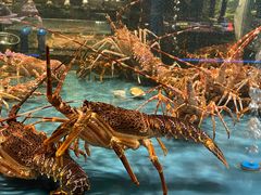 -龙宴海鲜城(经中路店)