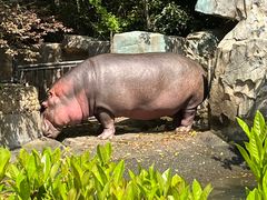 -宁波野生动物园