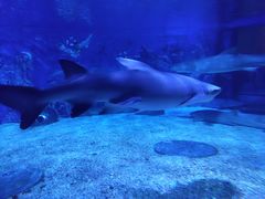 -成都浩海立方海洋公园