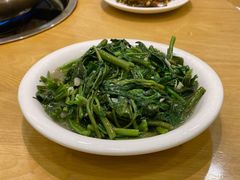 时令青菜-岩泊渡桂鱼楼活鱼馆