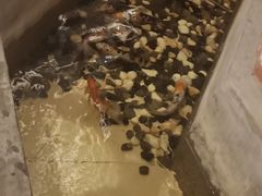 -铁板诱惑法式铁板烧(大卫城店)