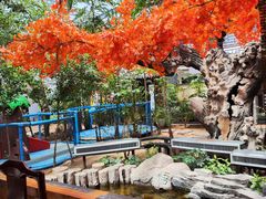 -老山东·山东菜(鲁菜名店)