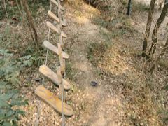 -都江堰玫瑰花溪谷