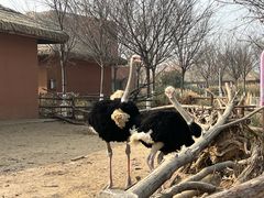 -祥源·阜阳生态乐园