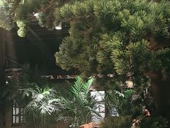 -丹江渔村(首都机场店)