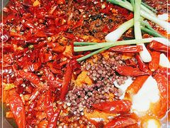 -四小区火锅·巷子里的重庆火锅(花照壁店)