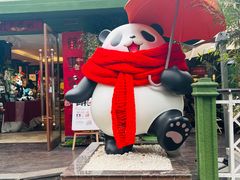 -轩客会(熊猫书店)
