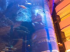 -OPEN開全日自助餐厅·西餐·海鲜(佛山希尔顿酒店)