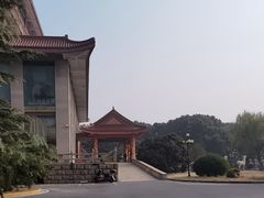 -华西村