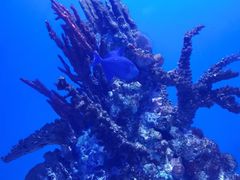 -海合安武汉极地海洋公园